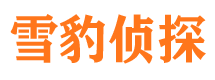 成安外遇出轨调查取证